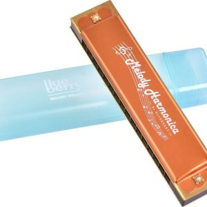 BLUEBERRY R-1601 Harmonica for Beginners, Harmonica for...