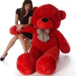 RIYASAT Red Color 3 feet Newly Arrival Soft & Cuddly Te...