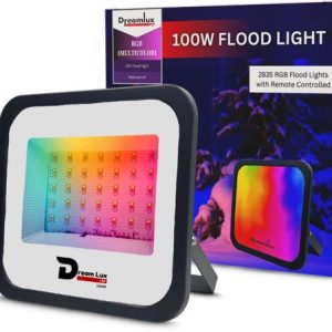 Dreamlux 100W Flood Light Outdoor Lamp
