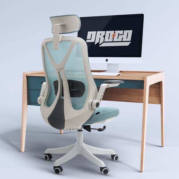 Drogo Ergonomic Office Chair/High Back Computer Chair w...