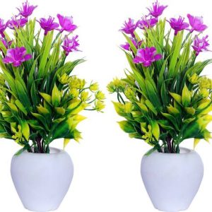 NERAPI Set of 2 Beautiful Bonsai Flower Plant Perfect f...