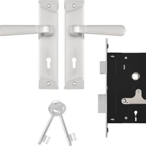 Godrej Locks Stainless Steel Matte Door levers