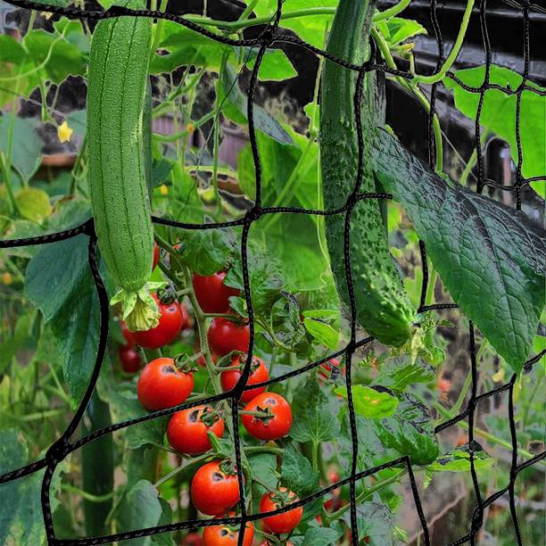 grenfel Plant Climbing Net & 15Ft x 6 Ft Creeper Suppor...