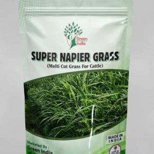 Green India SUPER NAPIER GRASS Seed (200 g) Seed