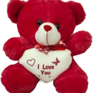 Aradhya Enterprises soft toys Love Heart Teddy Bear- 25...