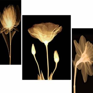 WALLMAX Set of 3 Flower Home Decorated Gift Item UV Tex...