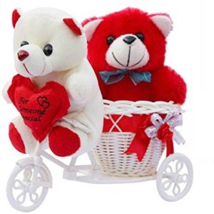 AMKK Romantic Gifts, Surprise Cycle Teddy for Wife,Husb...