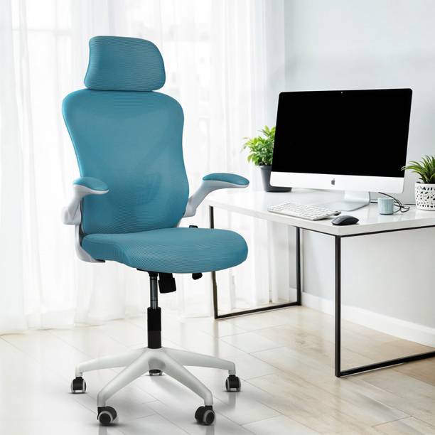 Drogo Work from Home Computer Chair with Head & Lumbar ...