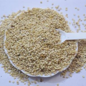 Jungli Brinjal seed GRAFTING BRINJAL SEED, JUNGLI BAIGA...