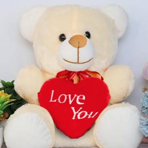 Nyaara Plush Teddy Bear with Heart Valentine Gift for W...