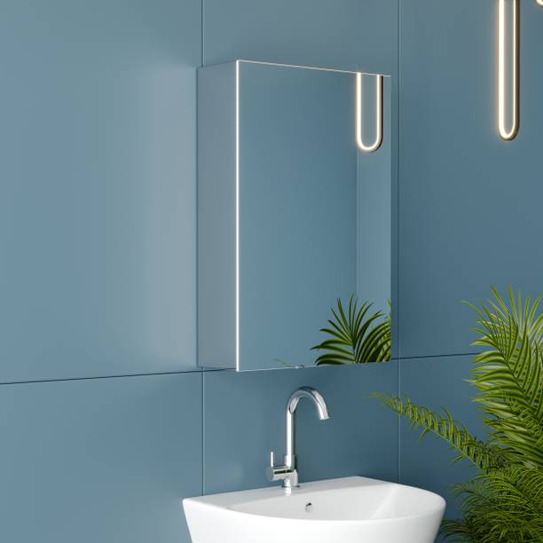 GRIVAN Heavy-Duty Stainless Steel Bathroom Mirror Cabin...