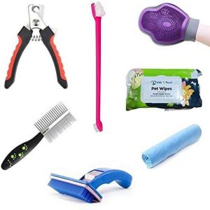 DogTrust Horse Grooming Kit