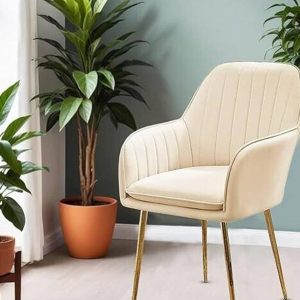 BHAGYA Velvet Dining Chairs, Cushion Seat Chair for Liv...