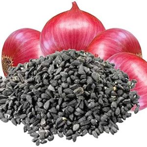 KNESSiN Desi Nasik Onion Seed
