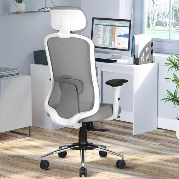 ASTRIDE Erizo Ergonomic Office Chair|Multilock|4D Arm|A...
