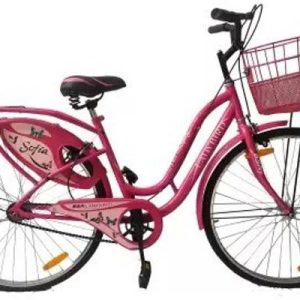 BSA Lady Bird sofia City Bicycle Comfert Handle & Relax...