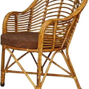 Treehouse Cane Living Room Chair