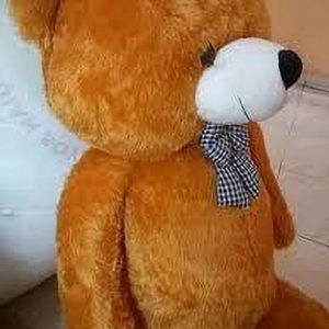 RIYASAT MOLAP SOFT 2 FEET BROWN TEDDY - 55 cm