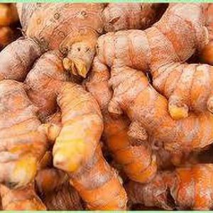 ibains Pure organic hybrid kachi Haldi/Turmeric seeds f...