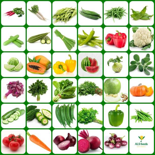 ibains Summer plant combo vegetable seeds Seed