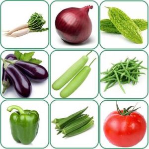 Aero Seeds 15 variety vegetable seeds combo pack with i...