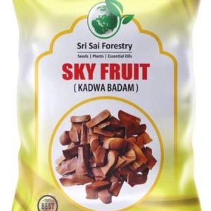 SRI SAI FORESTRY SUGAR BADAM KADWA, KADUA BADAM SKY FRU...