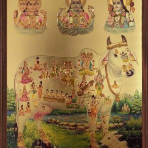 SAI BALAJI ACRALICS Kamdhenu photo framed Digital Repri...