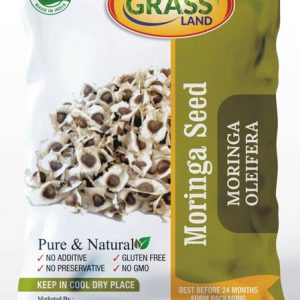 grassland Moringa PKM1 Hybrid (Drumstick Seed) Seed