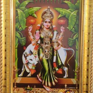 SAI BALAJI ACRALICS Dhanalakshmi Digital Reprint 8 inch...