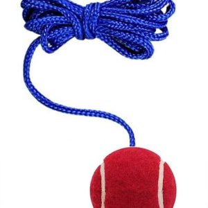 VSC VSC02 Cricket Training Ball