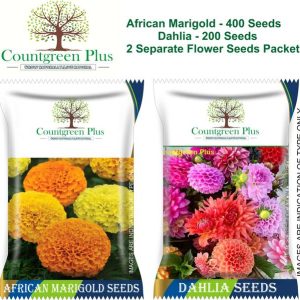Countgreen Plus African Marigold - 400 Seed & Dahlia Fl...