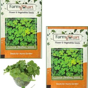 farmgokart |2 PACKETS OF CLOVER SEEDS|Quality Herbs See...