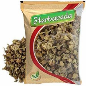 Herbaveda chota gokhru Seed