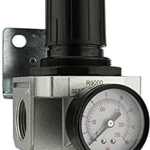 HOSEMART Air Regulator (AR) 1/2" Pneumatic Test Indicat...