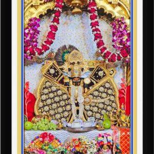 Braj Art Gallery Shri Sanwaliya Seth Shringaar Darshan ...